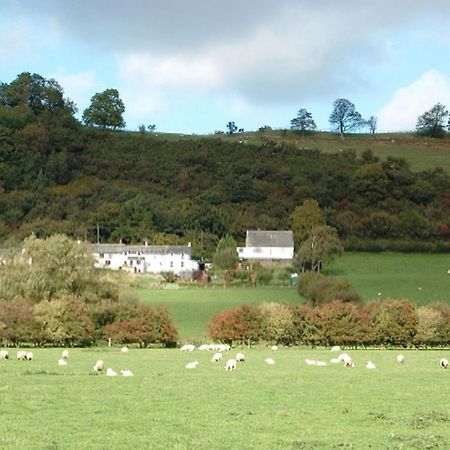 Osprey Cottage Bassenthwaite Zewnętrze zdjęcie