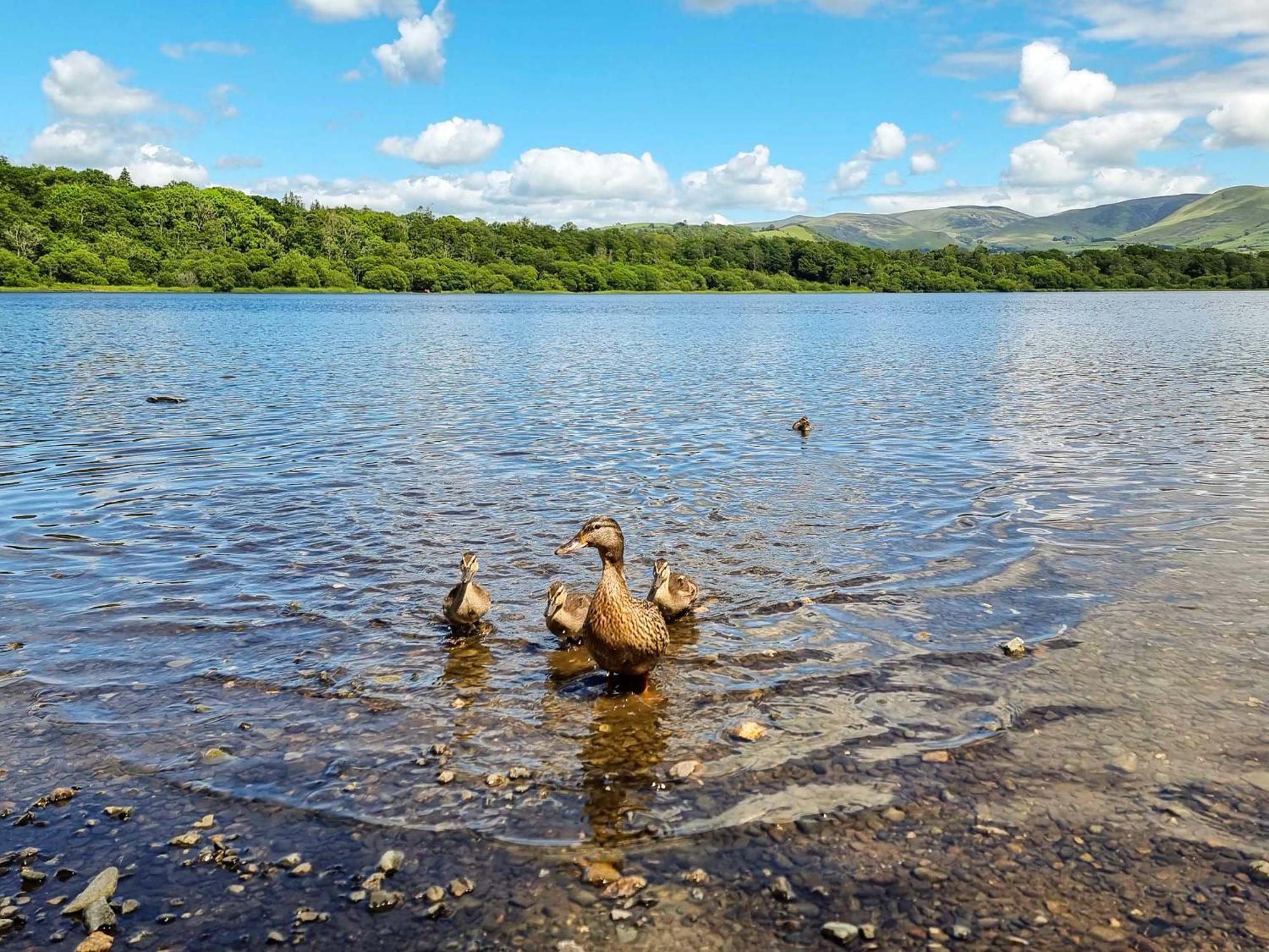 Osprey Cottage Bassenthwaite Zewnętrze zdjęcie
